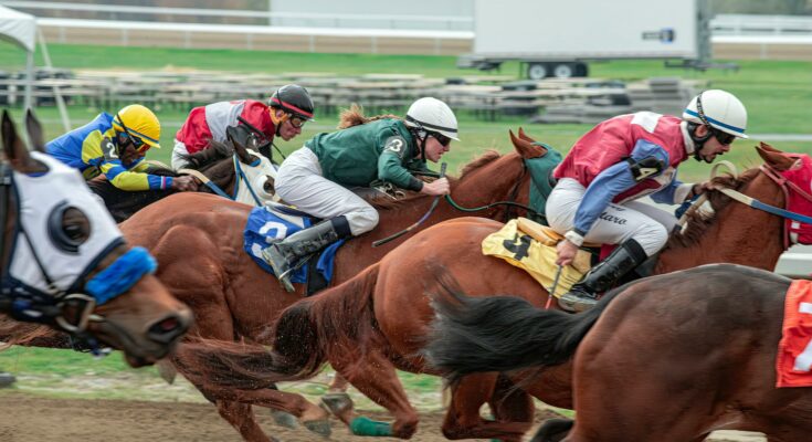 Horse racing action at the track
