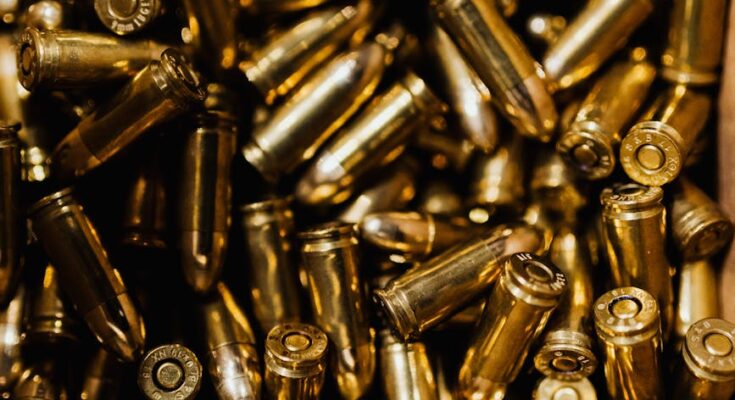 A pile of bullets