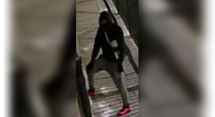 Burglary suspect