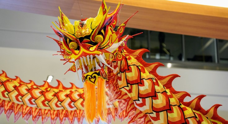 Lunar New Year Celebration