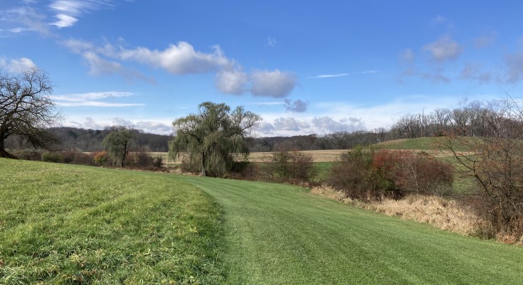 Kestrel Hill Preserve