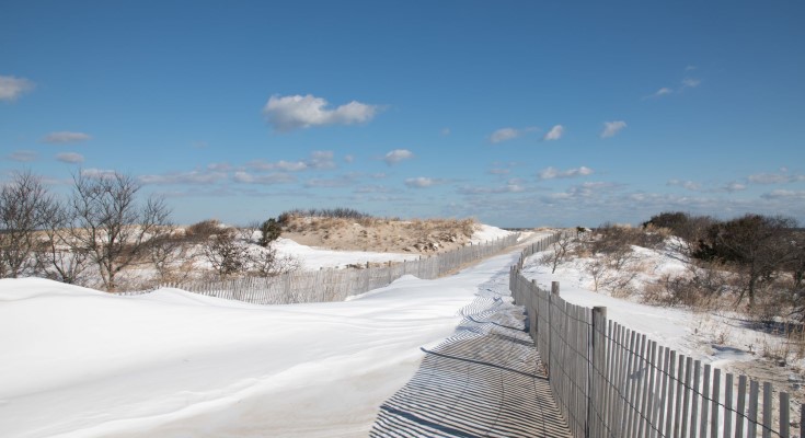 Snowfall at Cape Henlopen State Park