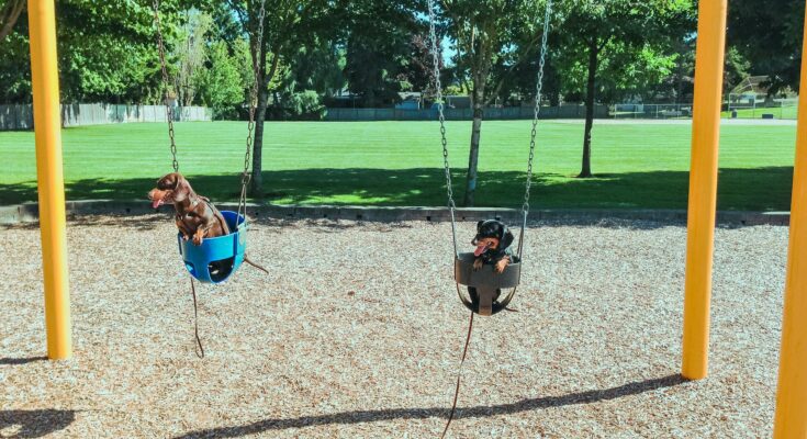 Community Park