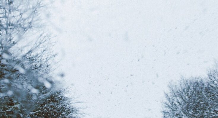 Cars on road with snow