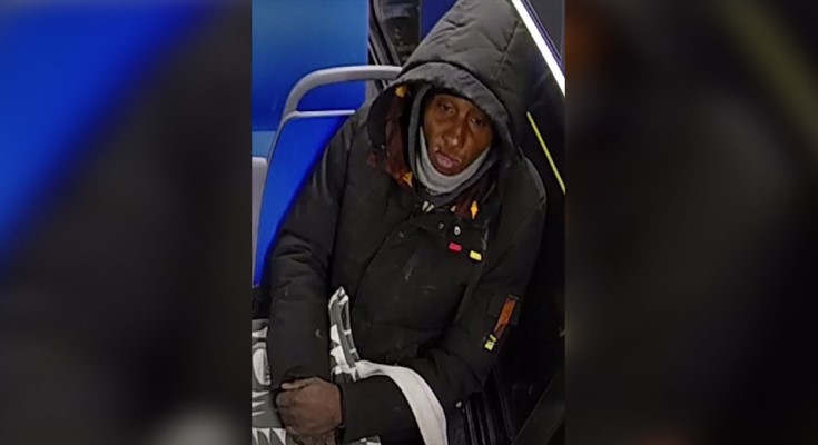 Burglary suspect