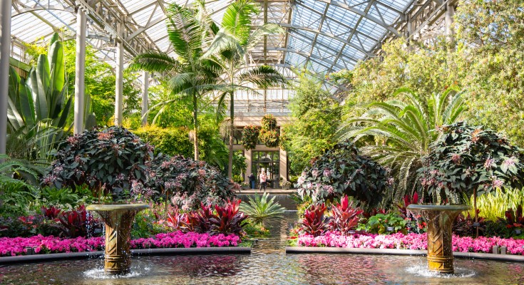 East Conservatory Oval Basin