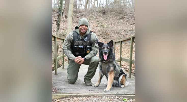 K-9 Guci