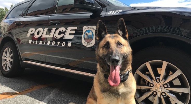 K9 EXO
