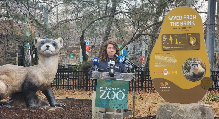 Philadelphia Zoo Tell Stories of Wildlife Conservation