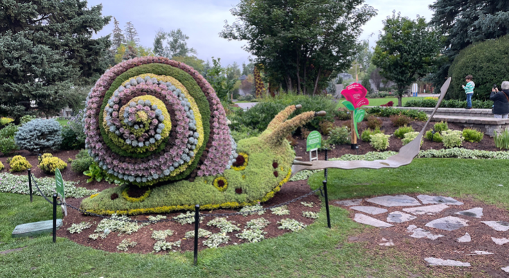 Snail topiary