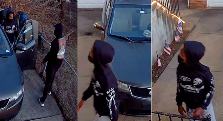Attempted vehicle theft