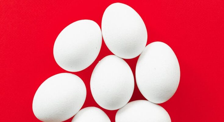 Eggs