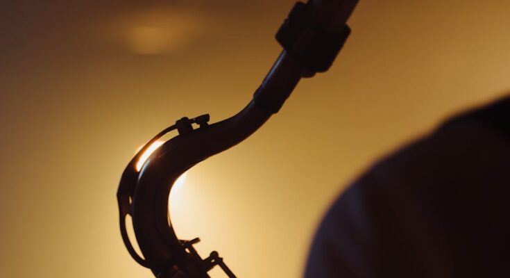 Silhouette of saxophone