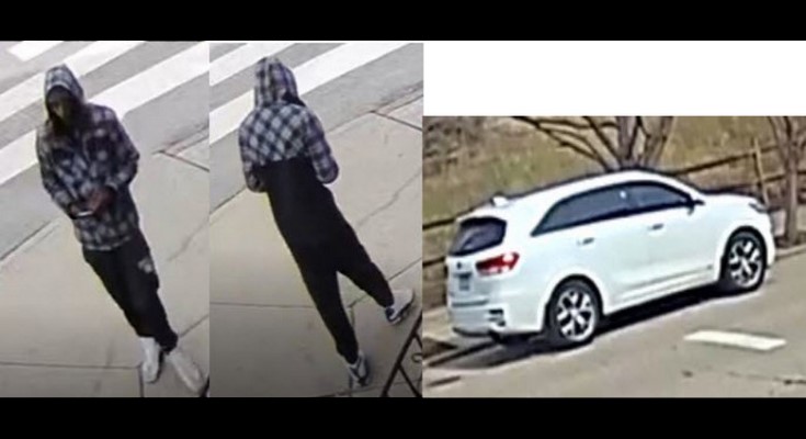 Sexual assault suspect