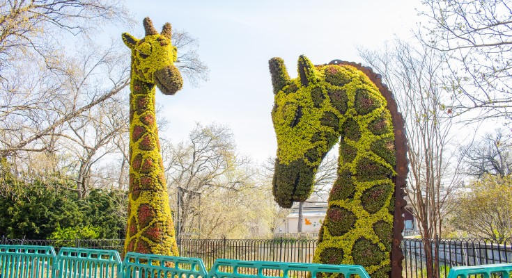 ZOOtopiaries