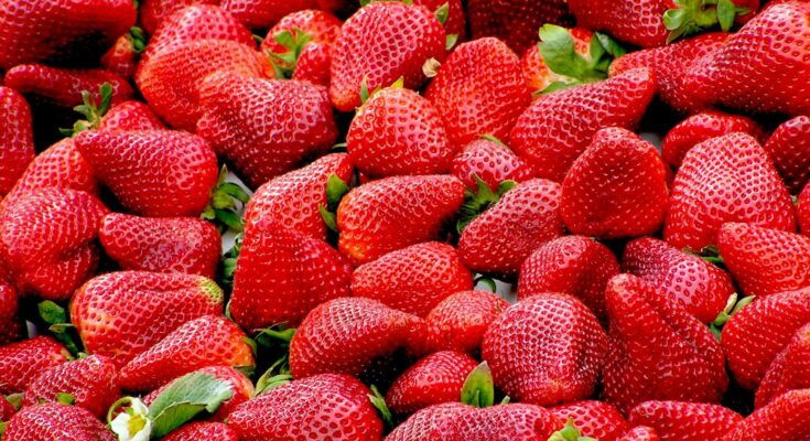 Red strawberries