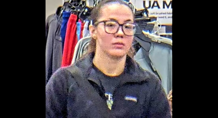 Theft suspect