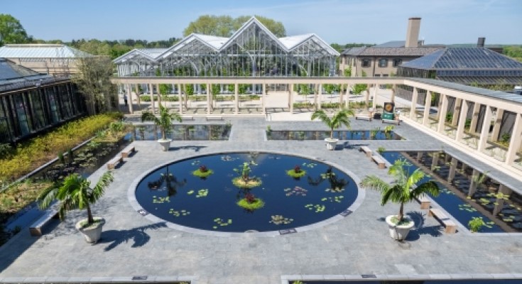 Waterlily Court