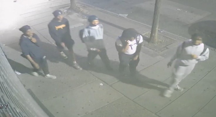 Assault suspects