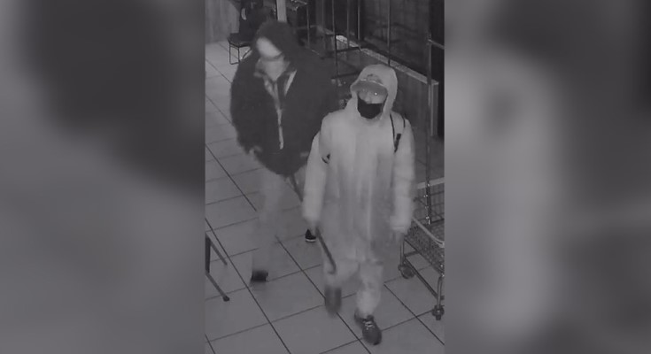 Burglary suspects