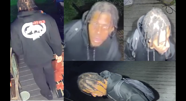 Burglary suspect