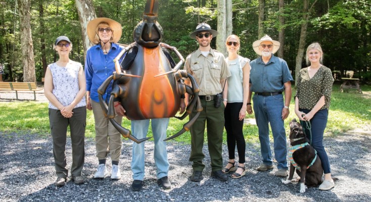 Tick bites and Lyme disease