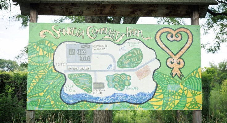Urban Agriculture