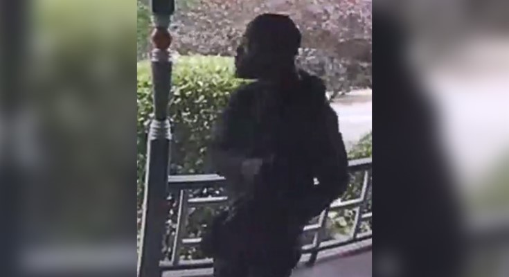 Assault suspect