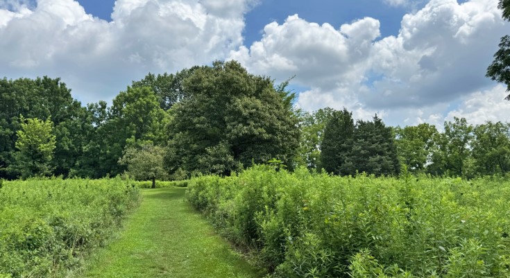 Lorimer Preserve - Chester County