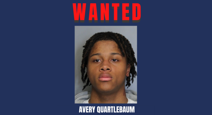 Avery Quartlebaum