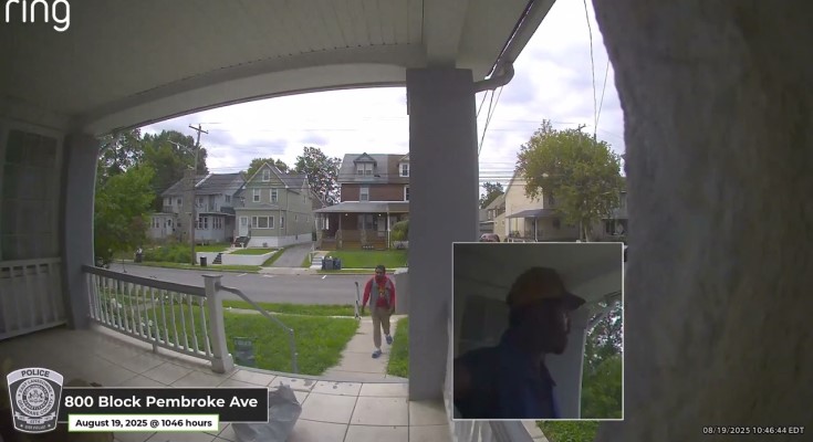 Theft suspect