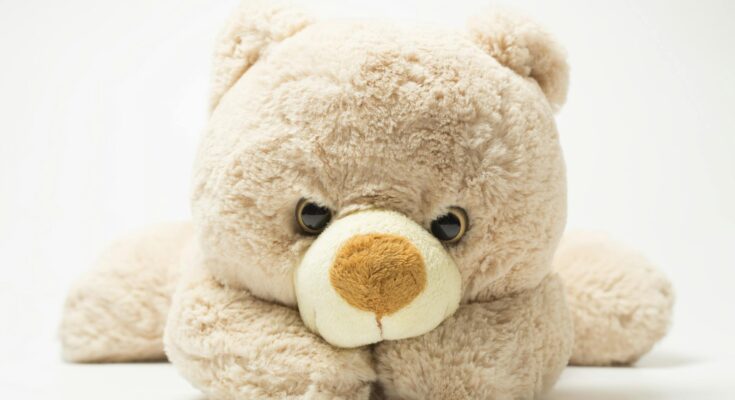 Teddy Bear