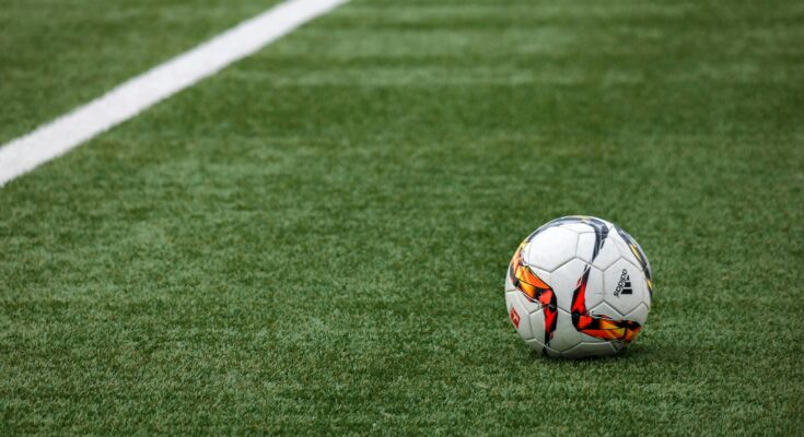 White adidas soccer bal
