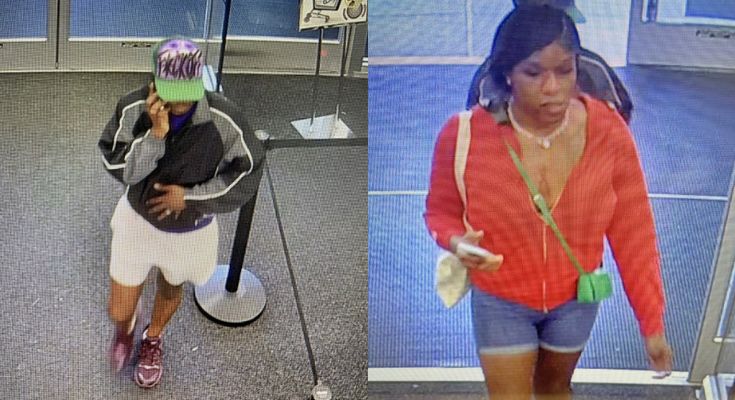 Theft investigation