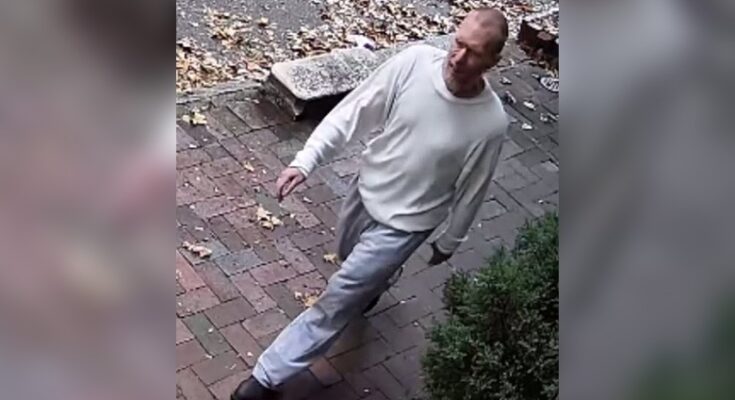 Theft, 400 block of Pine St