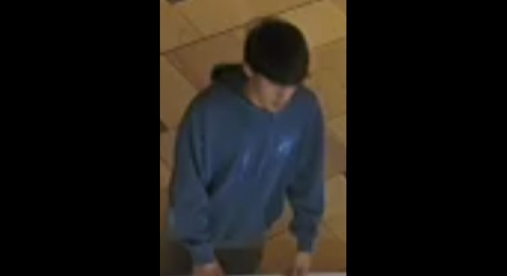 Theft suspect