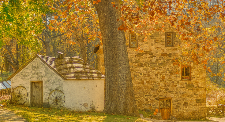 Fall season