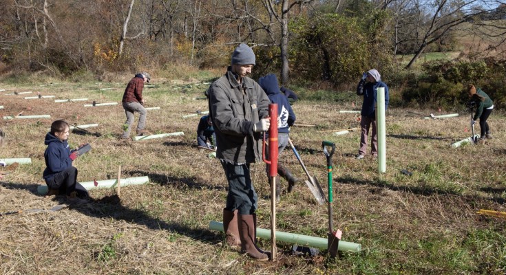 Riparian buffer
