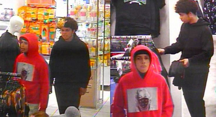 Theft suspects
