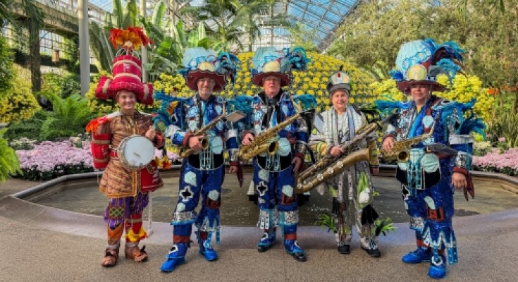 Members from the Avalon String Band of South Philadelphia