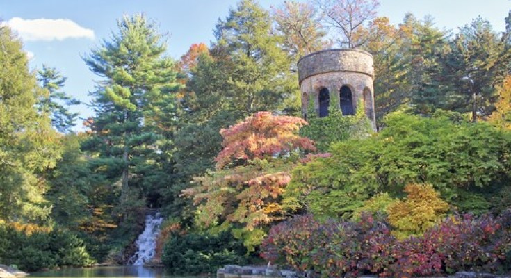 The Chimes Tower surrounded by beautiful fall foliage