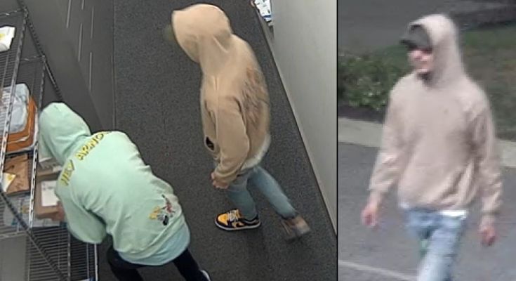 Theft suspects