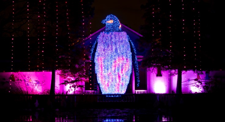 LumiNature