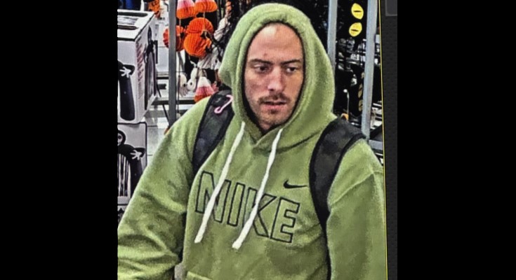 Theft suspect