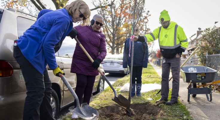 Tree planting