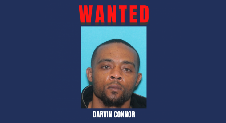 Darvin Connor
