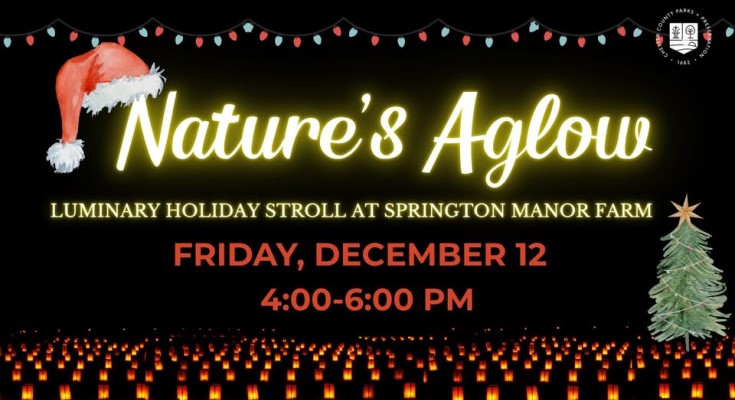 Nature's Aglow: Luminary Holiday Stroll