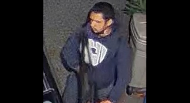 Theft from Vehicles - Attempt to Identify