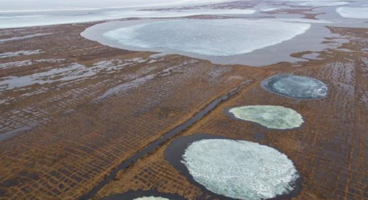 National Petroleum Reserve in Alaska