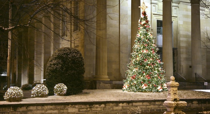 2009 Timlyn Vaughan WC Tree